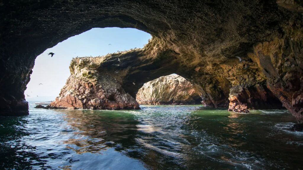 ISLAS PALOMINO