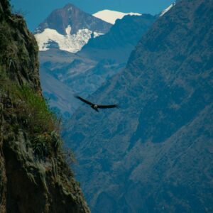 FULL DAY COLCA